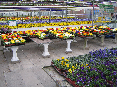 Frühling auf über 1000 qm